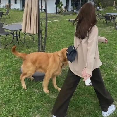我的血腥婚礼
